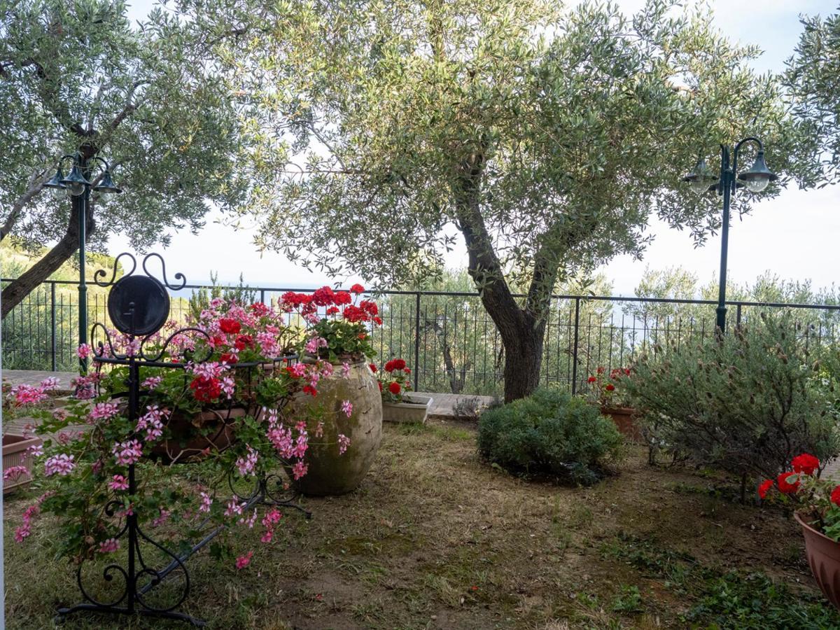 Tra Gli Ulivi Bed & Breakfast ปิเอตราลิกูเร ภายนอก รูปภาพ