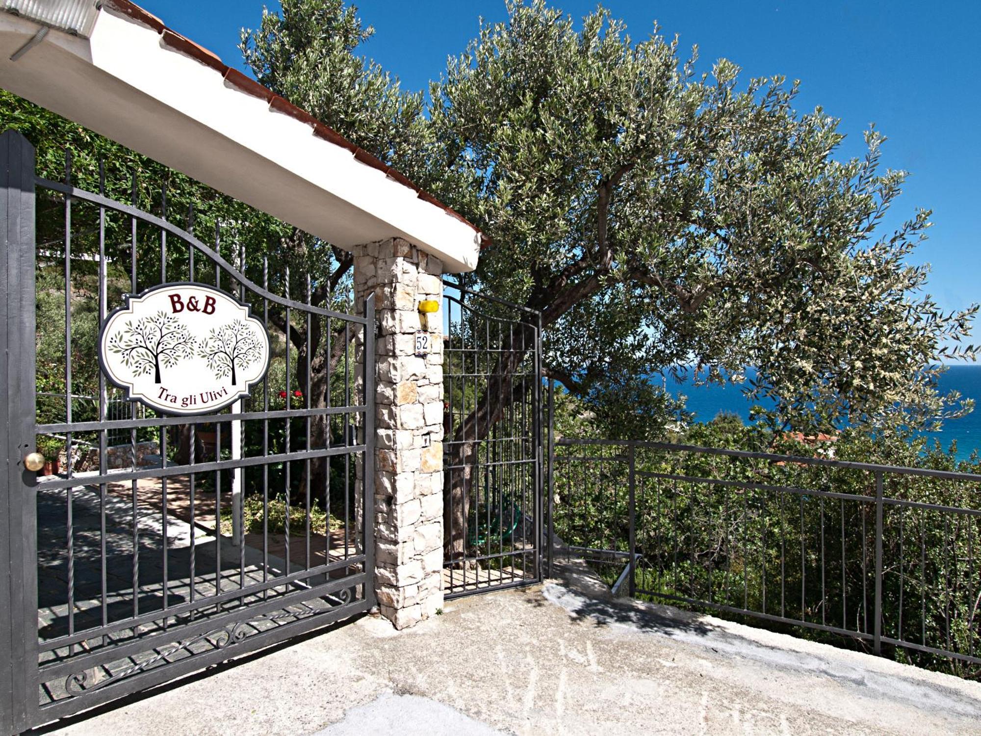Tra Gli Ulivi Bed & Breakfast ปิเอตราลิกูเร ภายนอก รูปภาพ