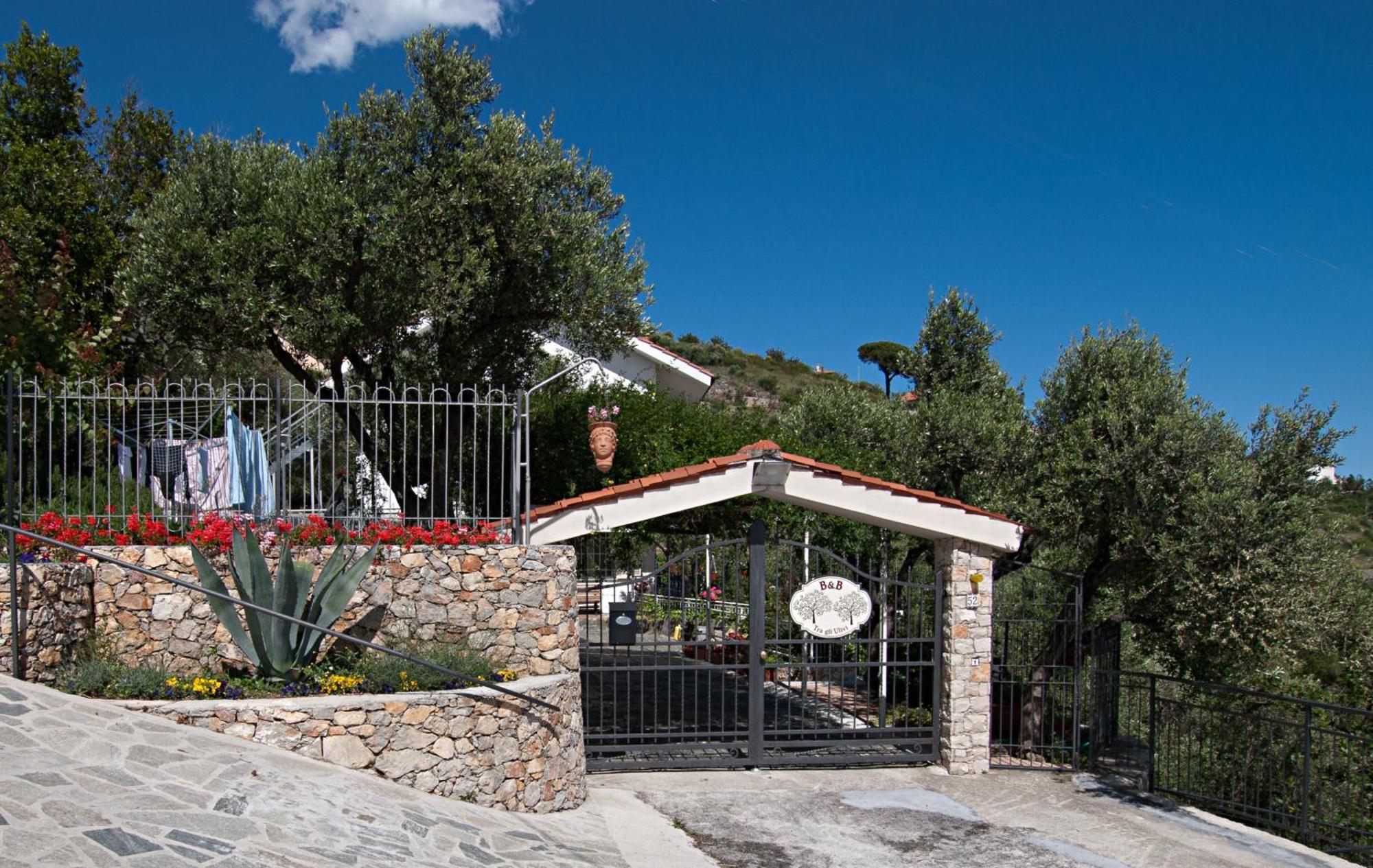 Tra Gli Ulivi Bed & Breakfast ปิเอตราลิกูเร ภายนอก รูปภาพ