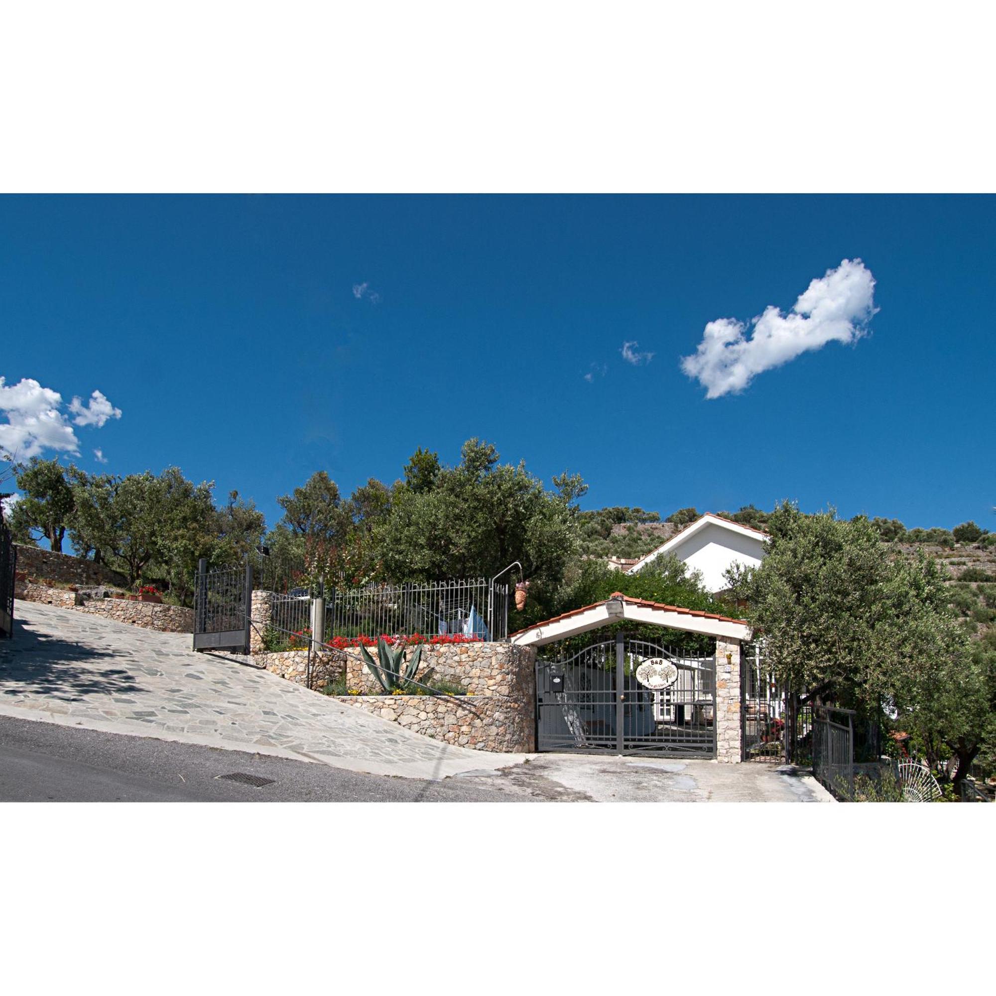Tra Gli Ulivi Bed & Breakfast ปิเอตราลิกูเร ภายนอก รูปภาพ