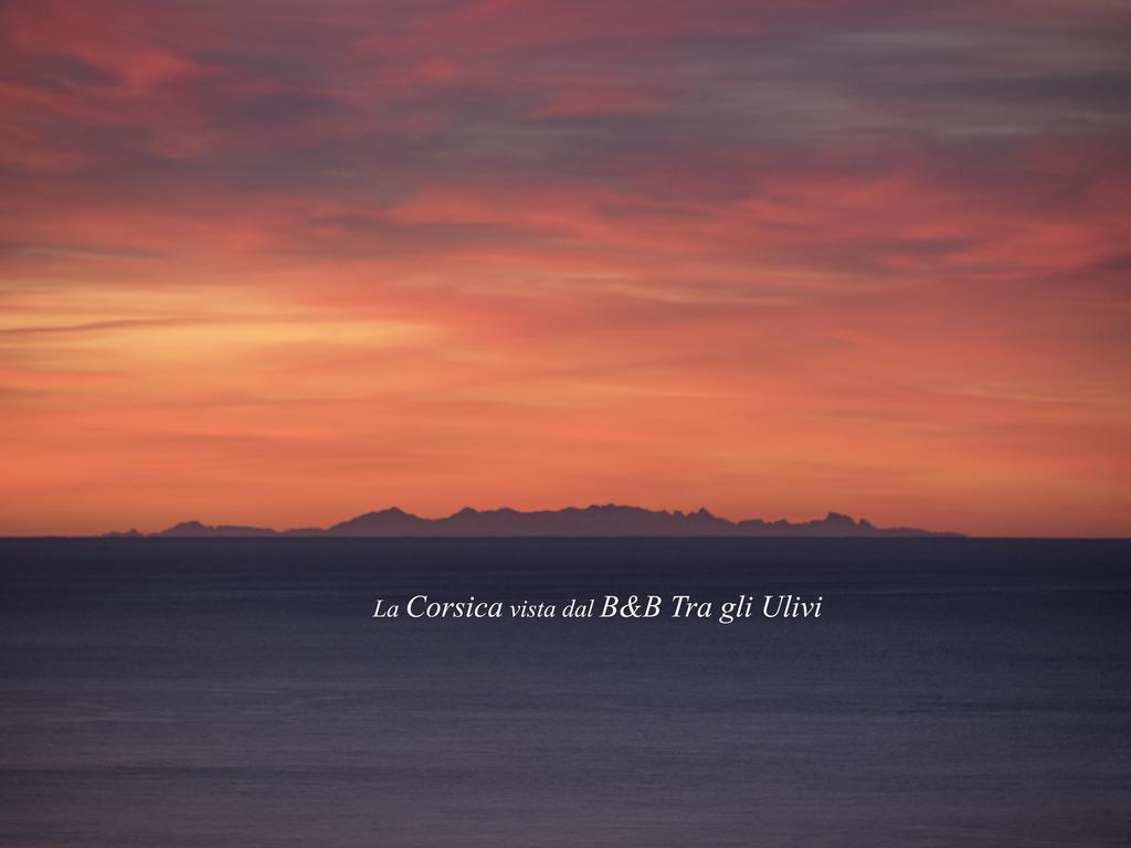 Tra Gli Ulivi Bed & Breakfast ปิเอตราลิกูเร ภายนอก รูปภาพ