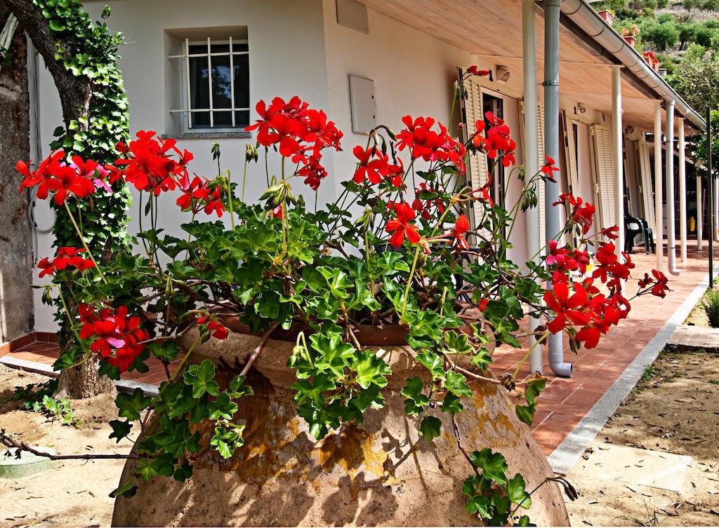 Tra Gli Ulivi Bed & Breakfast ปิเอตราลิกูเร ภายนอก รูปภาพ